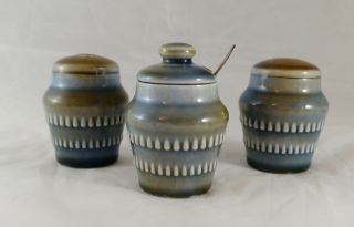 Vintage Wade Irish Porcelain Salt & Pepper Shakers,  Condiment Jar With Spoon