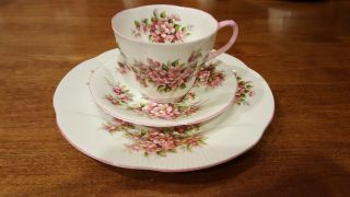 Royal Albert Apple Blossom Plate Saucer Cup