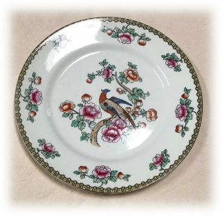 F Winkle Whieldon Ware England Pheasant Oriental Look Porcelain Dinner Plate
