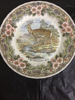 Deer Cervus Elaphus Plate Churchill Wildlife Myott Factory Made In England 10 "