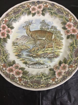 Deer Cervus Elaphus Plate Churchill Wildlife Myott Factory Made In England 10 