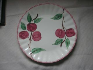 Vintage Blue Ridge Southern Potteries Crab Apple Hand Painted Plate - Made In Usa