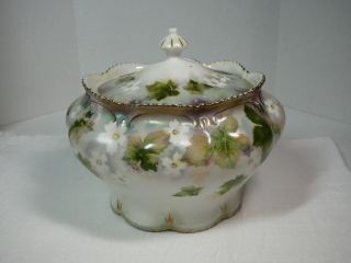 Rs Prussia Porcelain Cracker Biscuit Jar Covered Dish Vtg Antique White Flowers