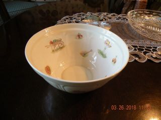 Aynsley Edwardian Kitchen Garden Bone China Bowl 7 " - England - Gorgeous