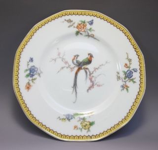Theodore Haviland Limoges France Cabinet Plate Birds Flowers Gold Blue Porcelain