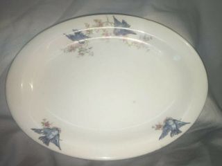 Vintage W.  S.  George Derwood 9” Small Bluebird Oval Platter Marked On Back