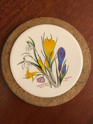Portmeirion Galanthus Crocus Botanic Garden Trivet Porcelain 8” W Cork Rim