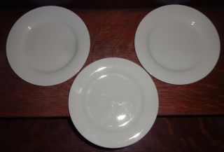 Crate & Barrel White Aspen Salad Plates 3 Wide Rim Rim Smooth Sri Lanka 8.  5 "