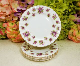5 Vintage Royal Albert Porcelain Plates Sweet Violets Gold