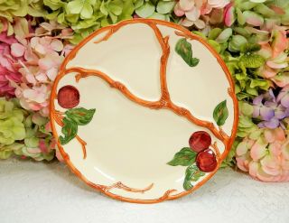 Franciscan Pottery Grill Serving Divided Plate Apple