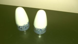 Vintage Blue Willow Salt And Pepper Shakers