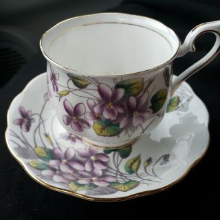 Royal Albert Flower Of The Month Series Violets No 2 Hand Painted Cup Saucer