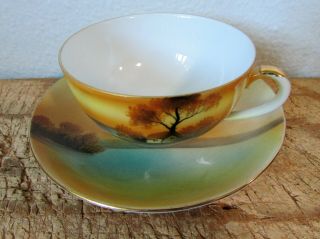 Vintage Noritake China Tea Cup And Saucer 43 " Tree In The Meadow "
