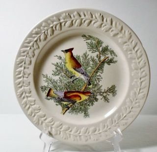 Adams John James Audubon Birds Of America 10 - 1/2 " Dinner Plate Cedar Waxwing