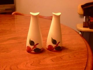 Vintage Franciscan Apple Patern Tall Salt And Pepper Shakers