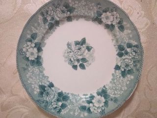 Vintage Adam & Co England Flow Blue Wild Rose Plate 8 " Plate