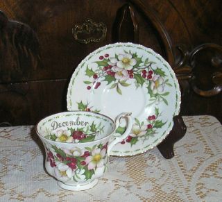 Royal Albert Flower Of The Month December Christmas Rose Cup & Saucer Bone China