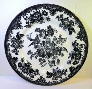 Royal Stafford Asiatic Pheasant Black Dinner Plate 11 " Porcelain Made England