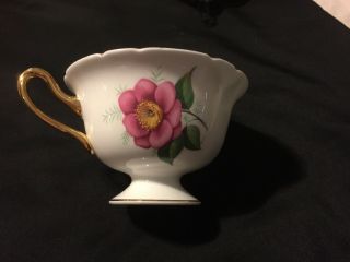 Shelley Fine Bone China Pink & Yellow Begonias Gold Trim Footed Teacup Only