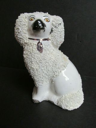 Antique Staffordshire Ware Confetti Poodle/spaniel (made In England)