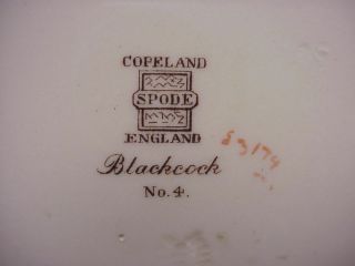 Copeland Spode England Game Bird Blackcock 4 10 1/4 in.  Dinner Plate 4