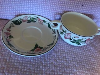 Villeroy Boch PALERMO Pink Morning Glory Demitasse Double Handle Soup Cup Plate 3