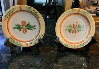 2 Southern Living At Home Gail Pittman Sienna Bread & Butter Plates
