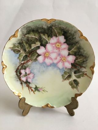 Haviland & Co Limoges France Hand Painted Plate - Apple Blossoms W/gold Trim