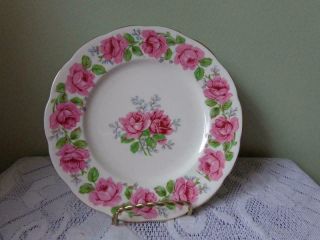 Queen Anne Bone China Lady Alexander Rose 7 " Bread & Butter Plate