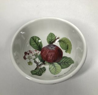 Portmeirion " Pomona " Hoary Morning Apple 5 3/8 " Fruit / Dessert Bowl