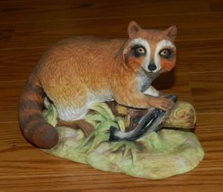 Porcelain Figure Aynsley England Raccoon Catching Trout Fish Figurine