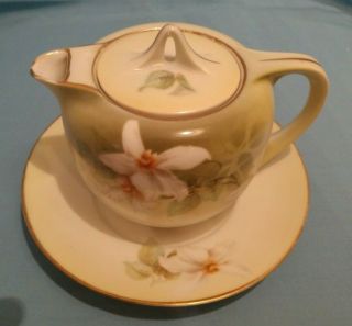 Tillowitz Silesia Hand - Painted Porcelain Syrup Pitcher & Under Plate