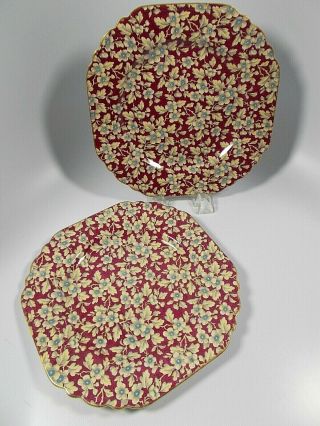 2 Chintz Lord Nelson Royal Brocade Luncheon Plates