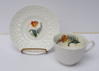 Rare Copeland Spode Fernleigh No.  5 Tulip Floral Tea Cup & Saucer Xlnt