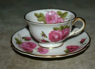 Rare Foley Demitasse Teacup & Saucer Painted Roses - Century Rose Pattern W/gold