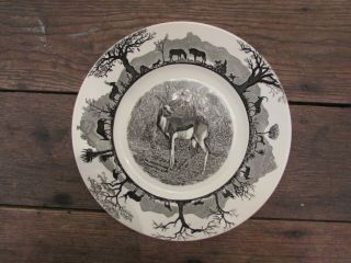 Vintage Kruger National Park Wedgwood Studio Pottery Springbok Dinner Plate