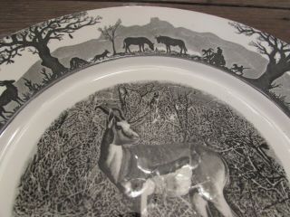 Vintage Kruger National Park Wedgwood Studio Pottery Springbok Dinner Plate 2