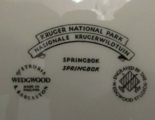 Vintage Kruger National Park Wedgwood Studio Pottery Springbok Dinner Plate 3