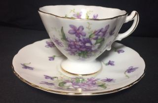 Rossetti Spring Violets Fine China Coffee Cup & Saucer Japan Tea Cup