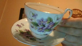 Paragon Cup & Saucer light green with gold trim and violets 2