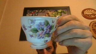 Paragon Cup & Saucer light green with gold trim and violets 4