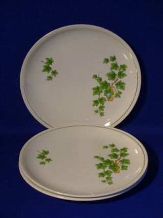 Paden City Pottery Ivy Pattern 3 Dinner Plates 9 1/2 "