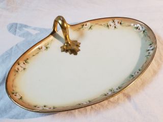 Antique Hand Painted Nappy Plate W/gold Handle Florals W.  G.  & Co Limoges France