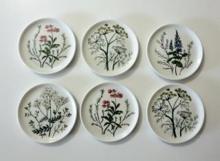 Vtg Vohenstrauss Johann Seltmann Bavaria Germany Wild Flower Porcelain Coasters