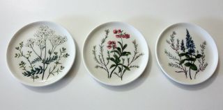 Vtg Vohenstrauss Johann Seltmann Bavaria Germany Wild Flower Porcelain Coasters 2