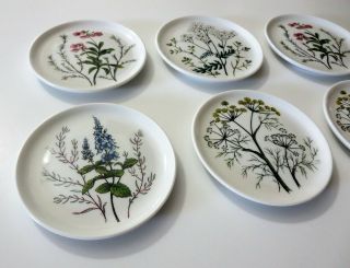 Vtg Vohenstrauss Johann Seltmann Bavaria Germany Wild Flower Porcelain Coasters 3