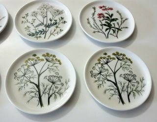 Vtg Vohenstrauss Johann Seltmann Bavaria Germany Wild Flower Porcelain Coasters 4