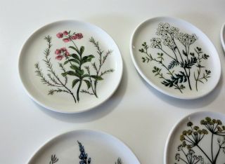 Vtg Vohenstrauss Johann Seltmann Bavaria Germany Wild Flower Porcelain Coasters 5