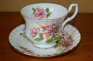 Vintage Royal Albert Tea Cup And Saucer Summertime Series Made In England