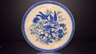 Dinner Plates Villeroy & Boch Antique Blue Bird Of Paradise Blue White Round